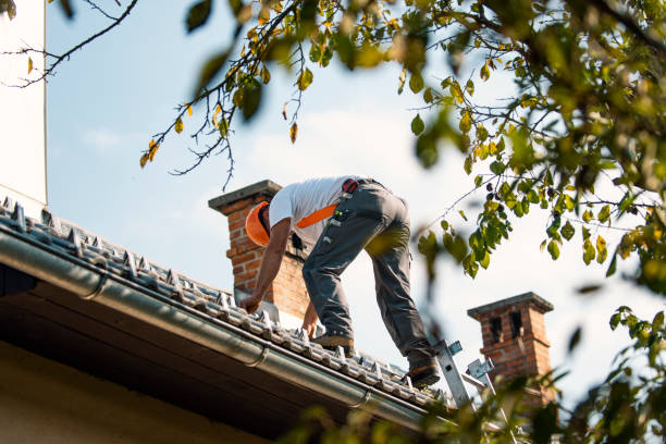 Best Slate Roofing Contractor  in Shreve, OH