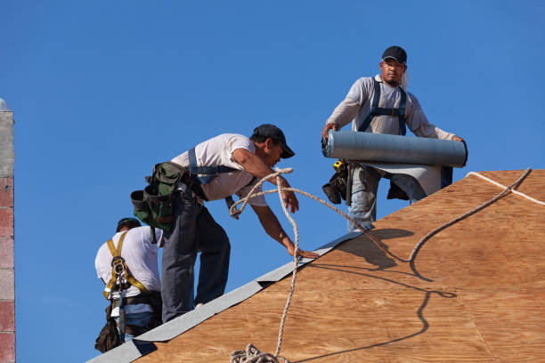 Best Flat Roof Repair Services  in Shreve, OH