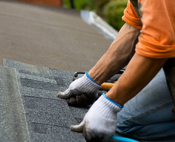 Professional Roofing Contractor in Shreve, OH