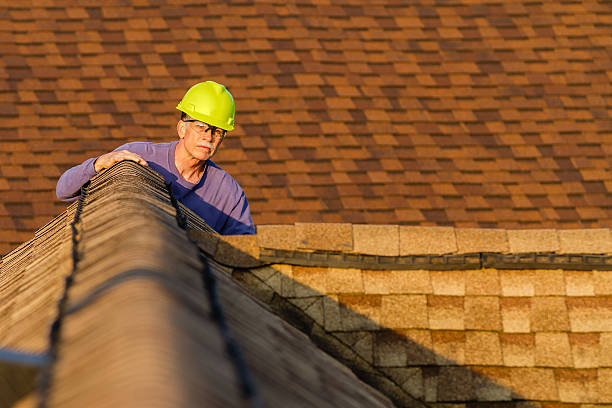 Best Local Roofing Companies  in Shreve, OH