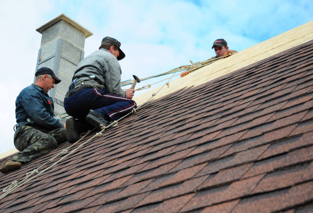 Best Best Roofing Contractors  in Shreve, OH